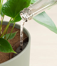 Load image into Gallery viewer, Sage Green stand:all
