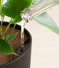 Load image into Gallery viewer, Stone Black stand:all
