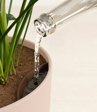 Load image into Gallery viewer, Sandy Pink stand:all
