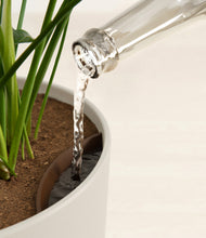 Load image into Gallery viewer, Natural Bamboo stand:all
