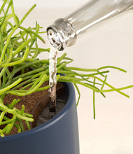 Load image into Gallery viewer, Deep Navy stand:all
