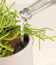 Load image into Gallery viewer, Eternal Gray stand:all
