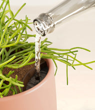 Load image into Gallery viewer, Calm Rose stand:all
