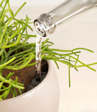 Load image into Gallery viewer, Desert Brown stand:all
