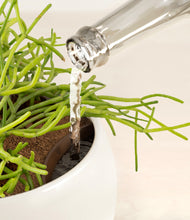 Load image into Gallery viewer, Shiny EggWhite stand:all
