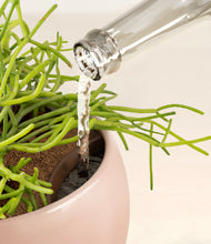 Load image into Gallery viewer, Calm Rose stand:all
