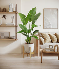 Load image into Gallery viewer, Natural Bamboo stand:bamboo
