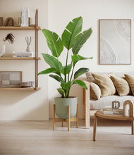 Load image into Gallery viewer, Sage Green stand:bamboo
