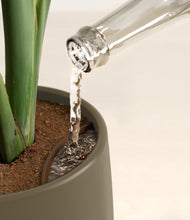 Load image into Gallery viewer, Olive stand:all
