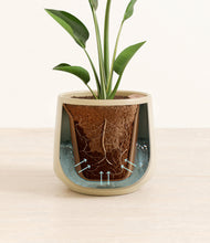 Load image into Gallery viewer, Almond Green stand:all
