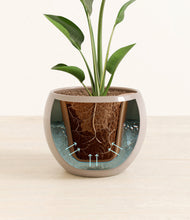 Load image into Gallery viewer, Desert Brown stand:all
