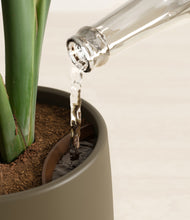 Load image into Gallery viewer, Olive stand:all
