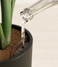 Load image into Gallery viewer, Black stand:all
