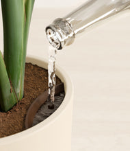 Load image into Gallery viewer, Cream stand:all
