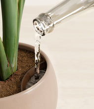 Load image into Gallery viewer, Desert Brown stand:all
