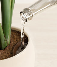 Load image into Gallery viewer, Shiny EggWhite stand:all
