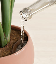 Load image into Gallery viewer, Calm Rose stand:all
