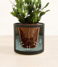 Load image into Gallery viewer, Black stand:all
