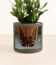 Load image into Gallery viewer, Dark Olive stand:all
