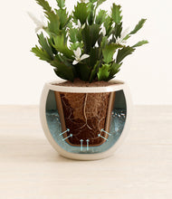 Load image into Gallery viewer, Shiny EggWhite stand:all
