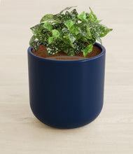 Load image into Gallery viewer, Twilight Blue stand:all
