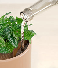 Load image into Gallery viewer, Glossy Pink stand:all
