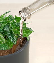 Load image into Gallery viewer, Iron Gray stand:all
