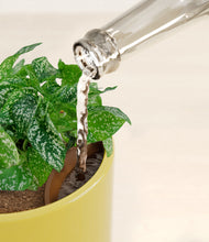 Load image into Gallery viewer, Key Lime Yellow stand:all
