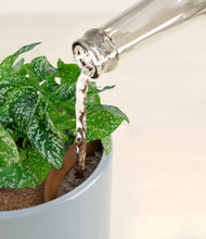 Load image into Gallery viewer, Misty Blue stand:all
