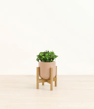 Load image into Gallery viewer, Glossy Pink stand:bamboo
