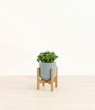 Load image into Gallery viewer, Misty Blue stand:bamboo
