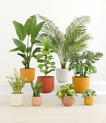 Evening Sky*****Profile