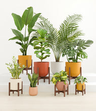 Load image into Gallery viewer, Evening Sky stand:six_stands
