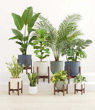 Load image into Gallery viewer, Soft Stone stand:six_stands
