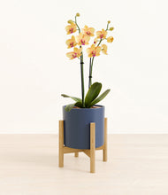 Load image into Gallery viewer, Deep Navy stand:bamboo
