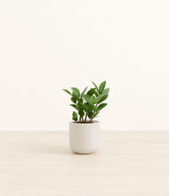Load image into Gallery viewer, Cotton White*****Profile
