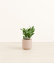 Load image into Gallery viewer, Sandy Pink*****Profile
