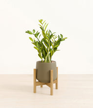 Load image into Gallery viewer, Olive stand:bamboo
