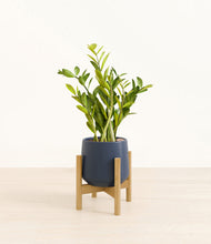 Load image into Gallery viewer, Deep Navy stand:bamboo
