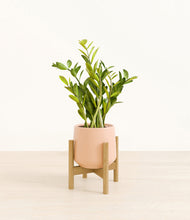 Load image into Gallery viewer, Gentle Pink stand:bamboo
