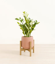 Load image into Gallery viewer, Calm Rose stand:bamboo
