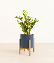 Load image into Gallery viewer, Deep Navy stand:bamboo
