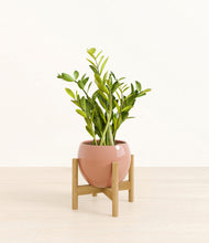 Load image into Gallery viewer, Calm Rose stand:bamboo
