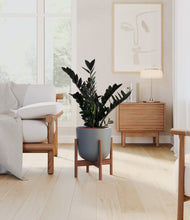Load image into Gallery viewer, Iron Gray stand:walnut
