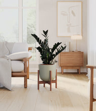 Load image into Gallery viewer, Sage Green stand:walnut

