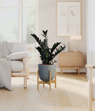 Load image into Gallery viewer, Iron Gray stand:bamboo
