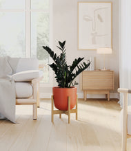 Load image into Gallery viewer, Earth Red stand:bamboo
