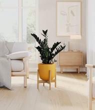 Load image into Gallery viewer, Sunset Orange stand:bamboo
