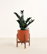 Load image into Gallery viewer, Earth Red stand:walnut
