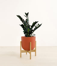 Load image into Gallery viewer, Earth Red stand:bamboo
